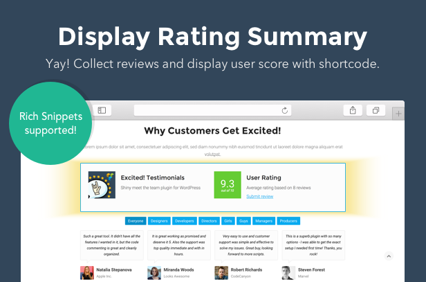 WordPress Testimonials Plugin — Testimonials Slider - 5