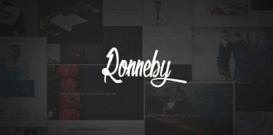 Ronneby|High-Performance WordPress Theme