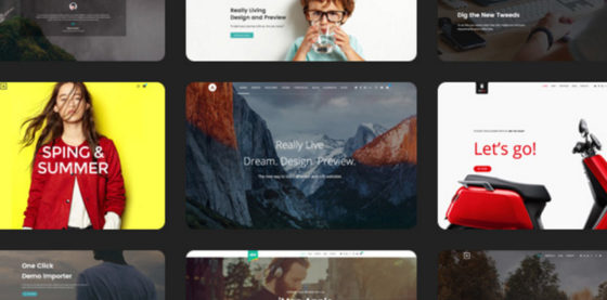 Alink | Customizable WordPress Theme